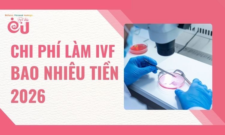 ivf-bao-nhieu-tien