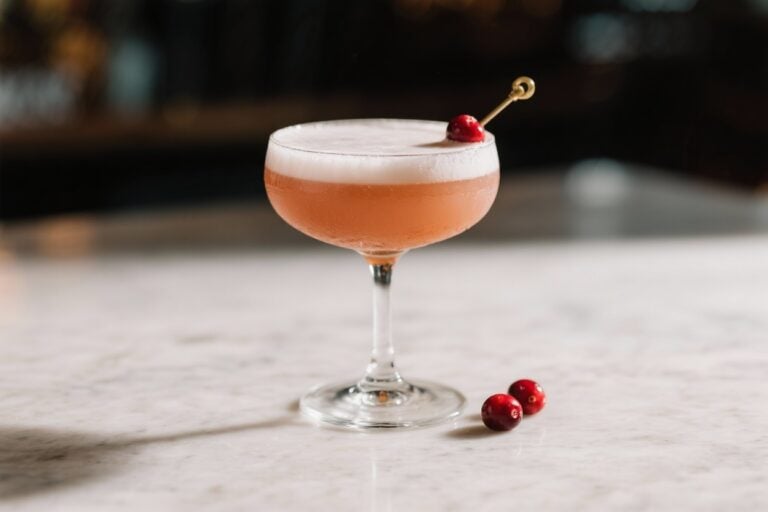 Cranberry Bourbon Sour – A Bright, Festive Twist on a Classic