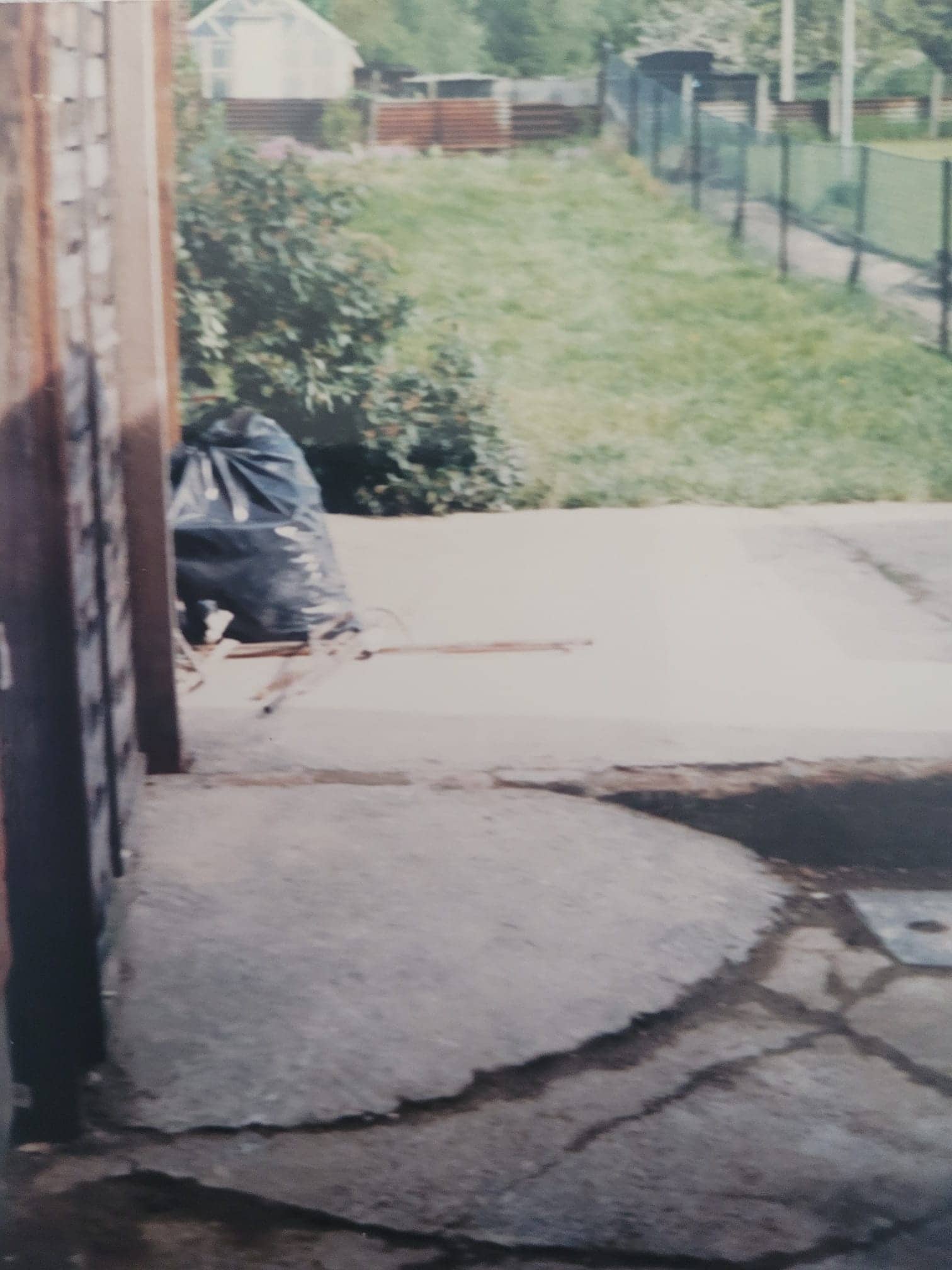 Early view of Alex’s back garden before the cottage garden transformation, showing a simple lawn, concrete patio, and minimal planting.