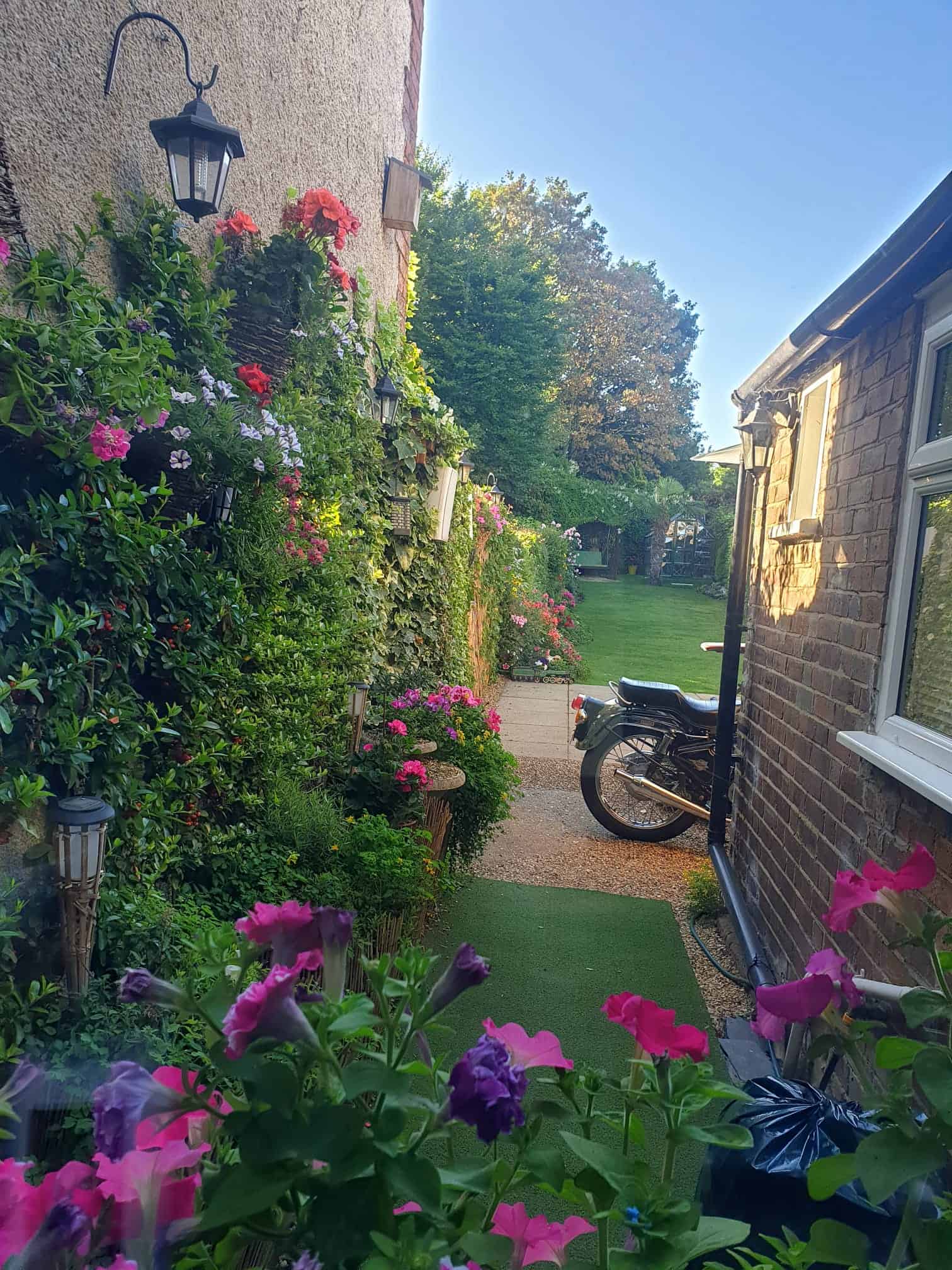 Charming side pathway in Alex’s English cottage garden lined with colourful hanging baskets, climbing plants, and vibrant flowers leading to the main garden.