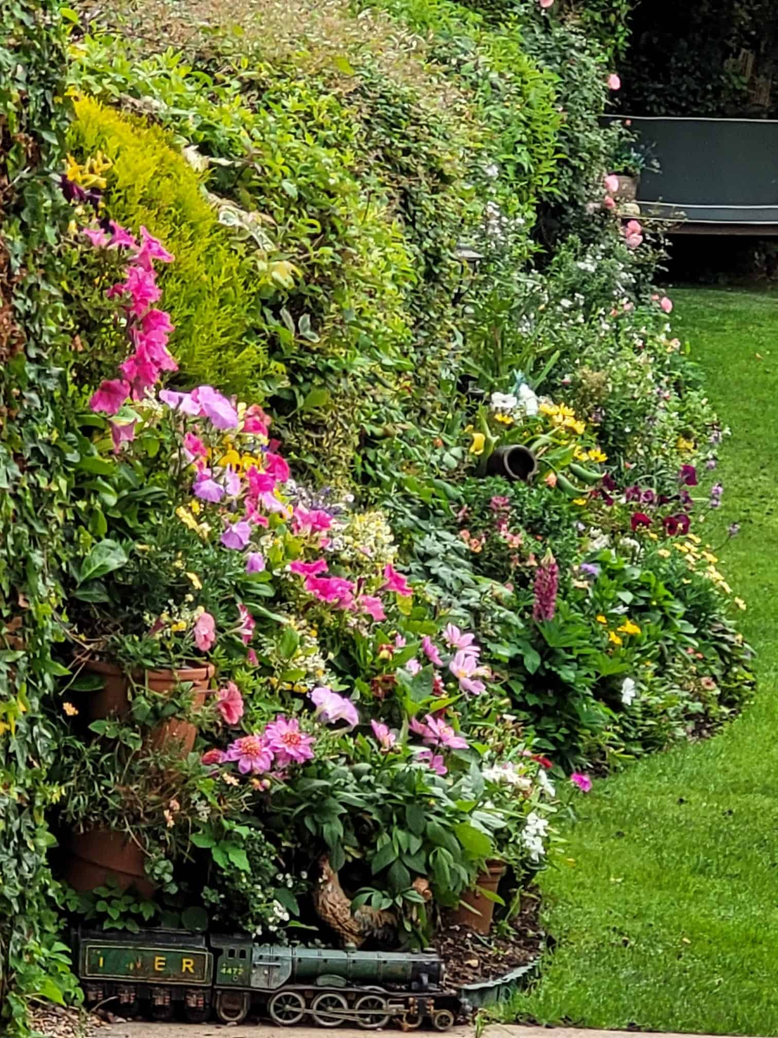 Colourful flower border in Alex’s English cottage garden featuring pink blooms, lush evergreen shrubs, potted flowers, a decorative model train, and a neatly manicured lawn.