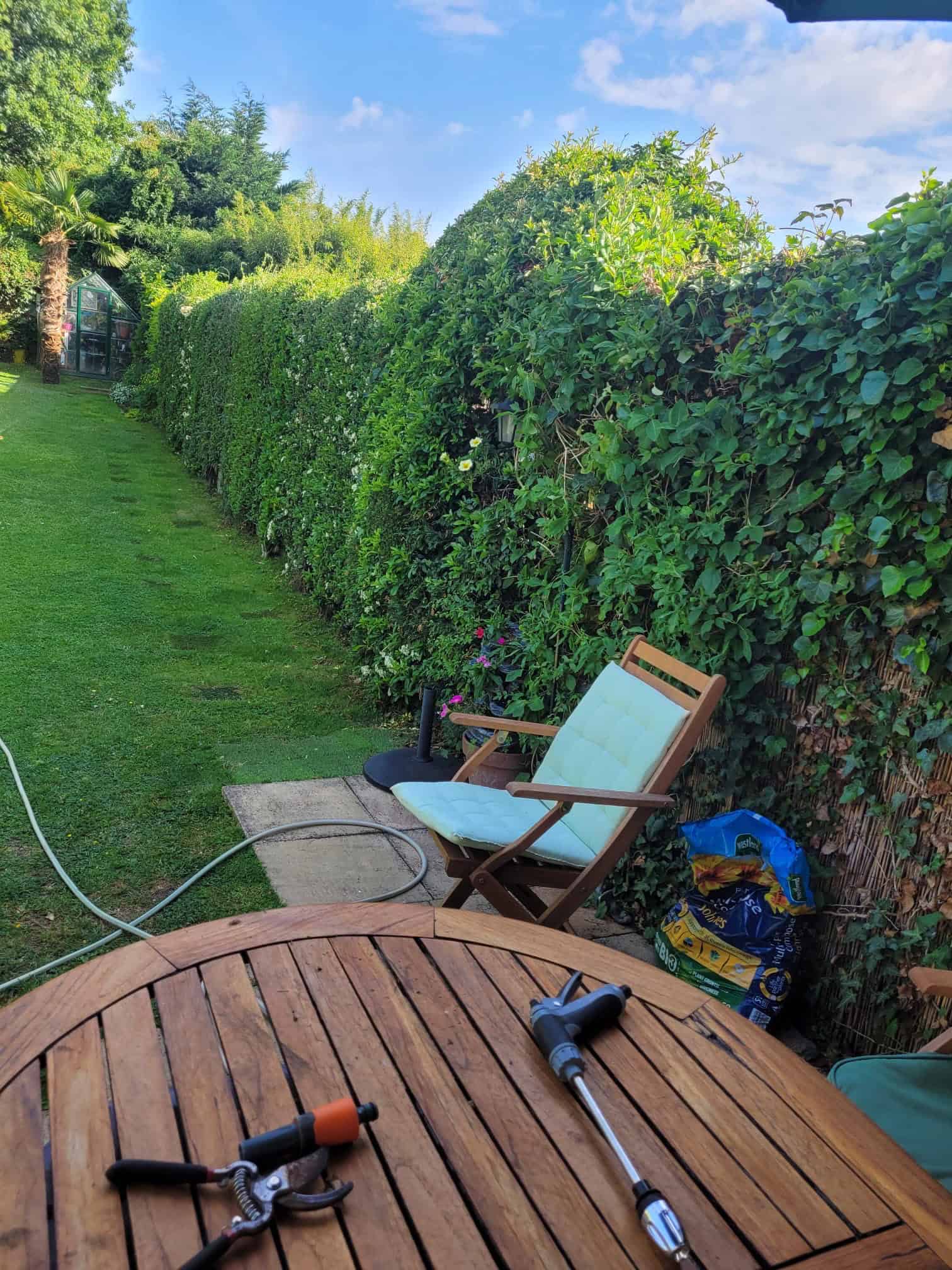 Neatly trimmed evergreen hedges lining Alex’s English cottage garden with a greenhouse, lush lawn, and peaceful seating area.