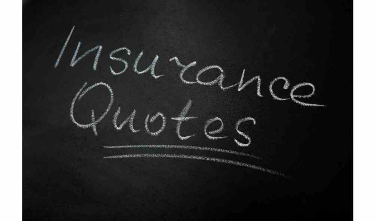 insurance quotes