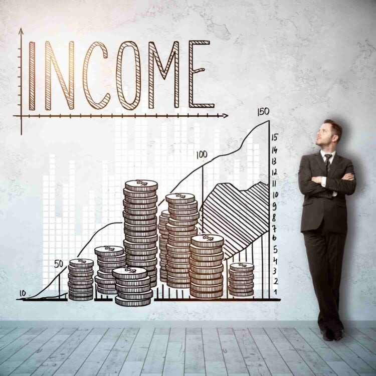 Income concept