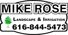 Modern website renaming template for branding and identity updates.