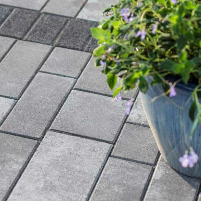 Paved stone walkway with a potted plant featuring purple flowers for garden decor.