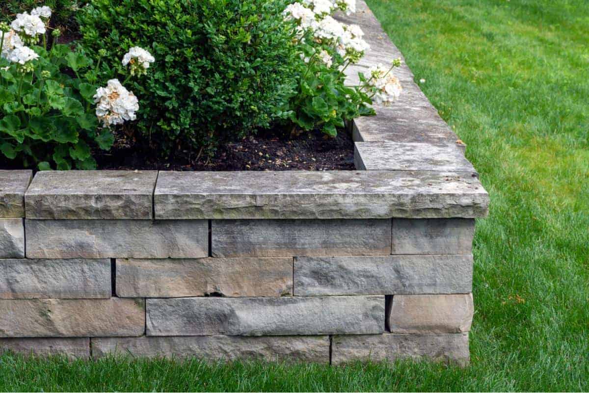 Stone garden bed with white flowers and lush green grass in the background.