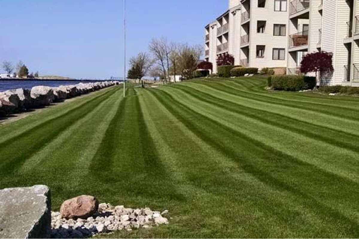 Green landscaped lawn with modern apartment buildings in the background.