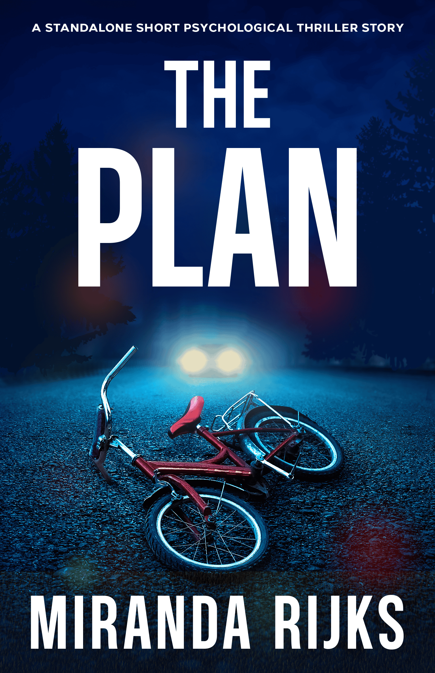 The Plan by Miranda Rijks