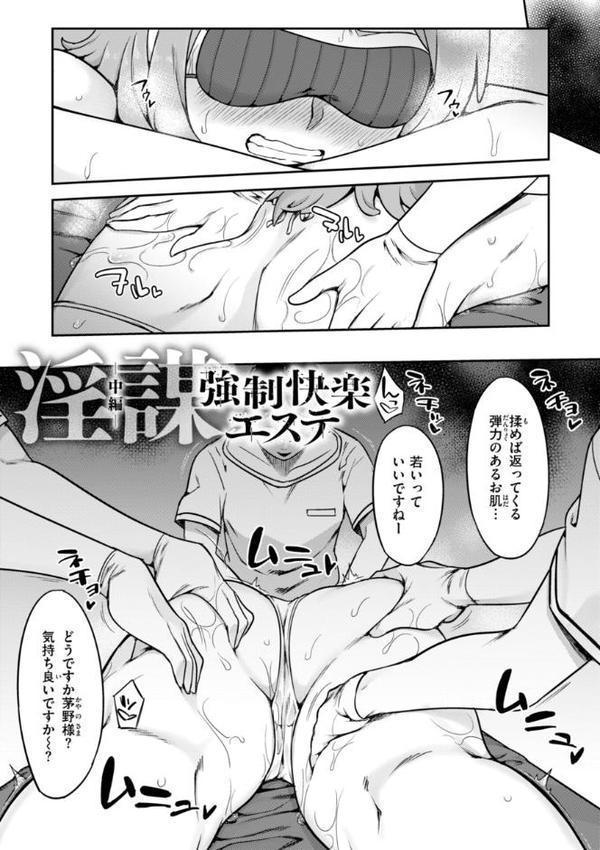 淫謀【デジタル版限定おまけ付き】 hitomiエロ漫画raw(同人誌)無料サンプル画像021