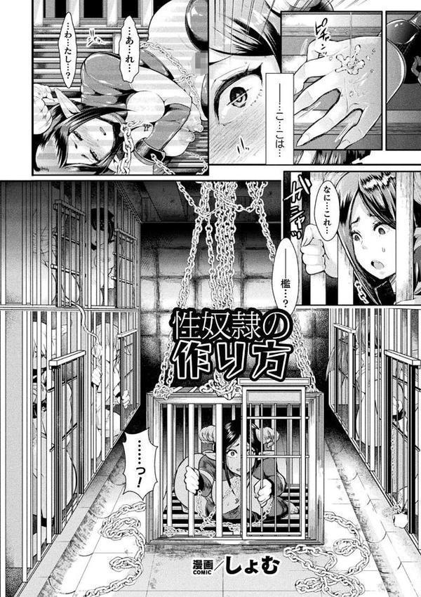 コミックアンリアル ザ・ベスト 壁尻コレクション hitomiエロ漫画raw(同人誌)無料サンプル画像019