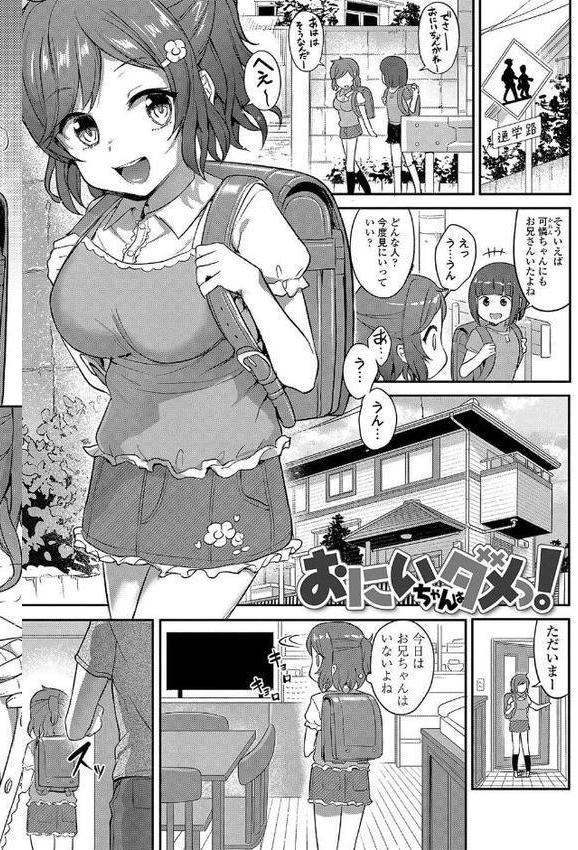嫌がる妹を押し倒してイロイロとえっちなことをしたい!【FANZA限定特典付き】 hitomiエロ漫画raw(同人誌)無料サンプル画像032