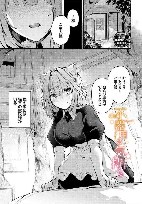 不器用に愛して(未収録作品150ページ付き)【デジタル特装版】【FANZA限定版】 hitomiエロ漫画raw(同人誌)無料サンプル画像033