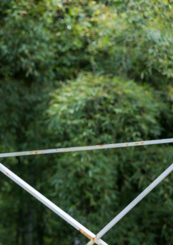 川上ゆう写真集『晴れときどき雨』 hitomiエロ漫画raw(同人誌)無料サンプル画像002