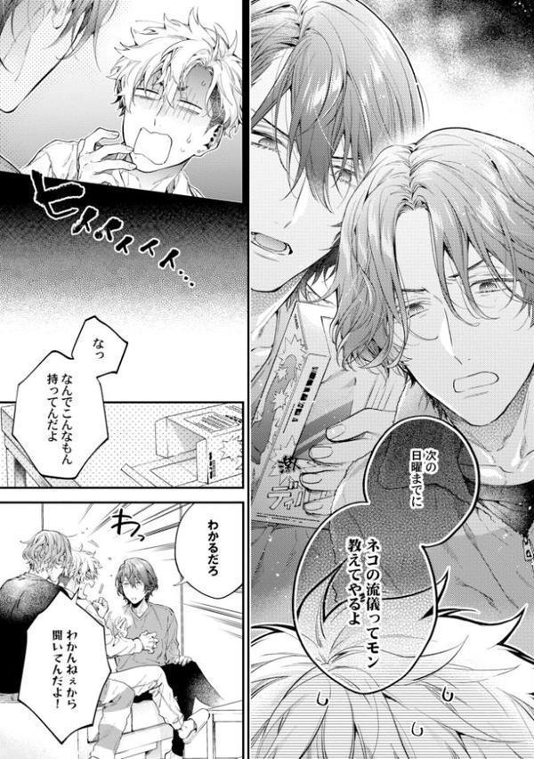 【18禁版】ヤンキーはなちゃんの猫かわいがり彼氏【特典ペーパー/電子限定描き下ろし付き】 hitomiエロ漫画raw(同人誌)無料サンプル画像010