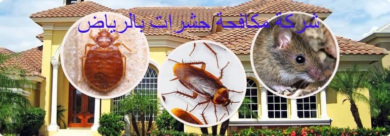 Ø´Ø±ÙƒØ© Ù…ÙƒØ§ÙØ­Ø© Ø­Ø´Ø±Ø§Øª Ø¨Ø§Ù„Ø±ÙŠØ§Ø¶