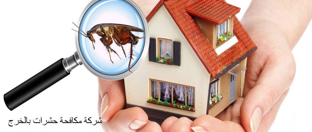 شركة مكافحة حشرات بالخرج