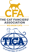 Certified Exotic Shorthair Breeder: CFA & TICA Outstanding Cattery