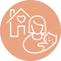Meet your Exotic Shorthair or Exotic Longhair kitten prior to delivery or pickup! If out of state we can meetup virtually.