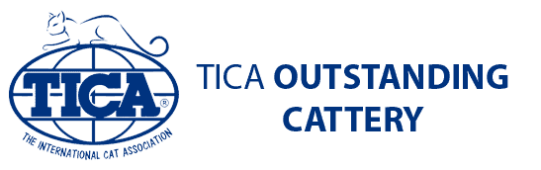 TICA Outstanding Cattery