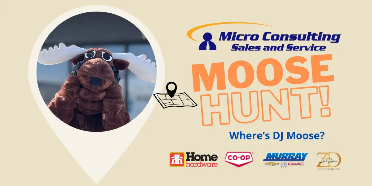 The Micro Consulting Moose Hunt