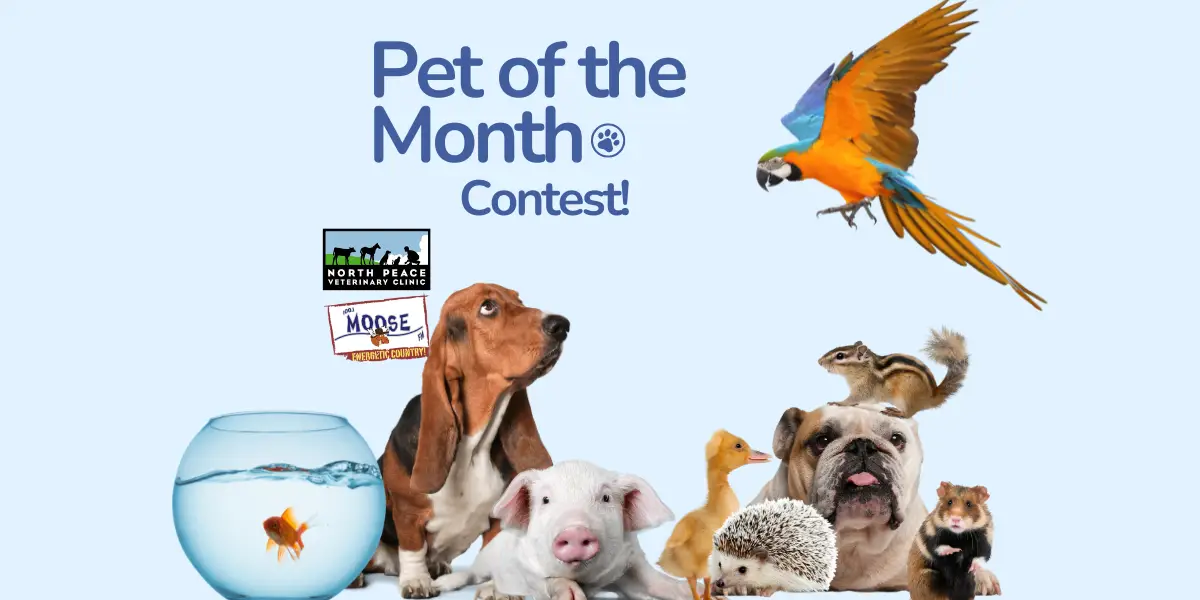 Pet of the Month 2025 Winners