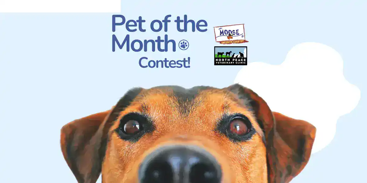Pet of the Month | June 2024