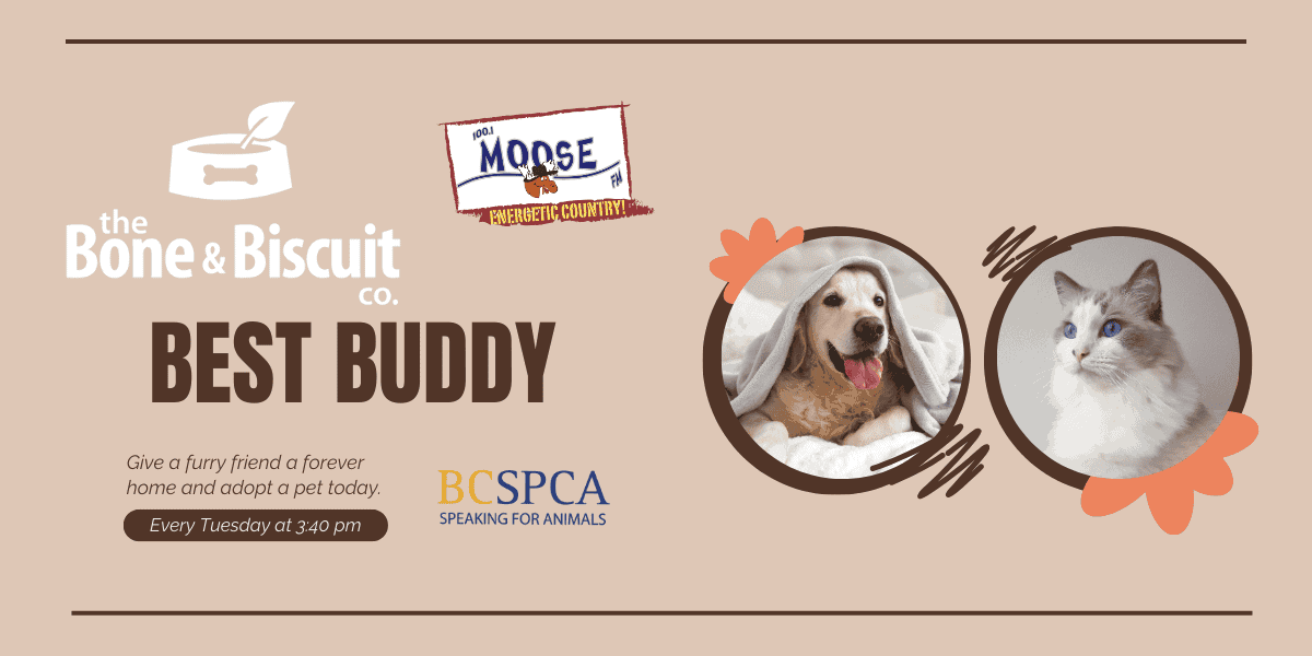 The Bone & Biscuit Best Buddy!