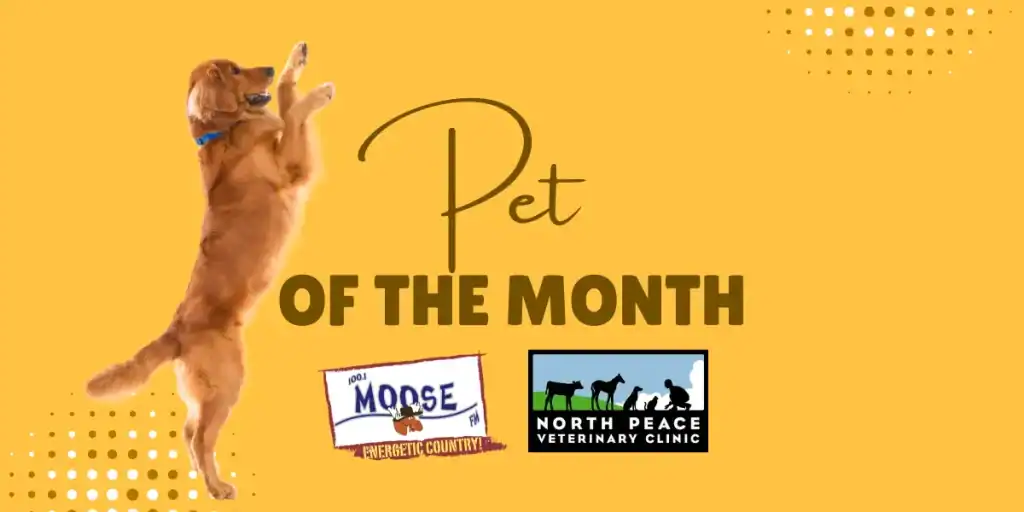 Pet of the Month | August 2023