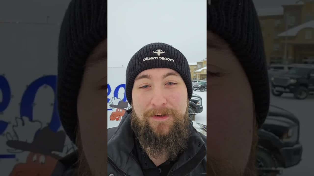 Light A Moose is Happening Now!