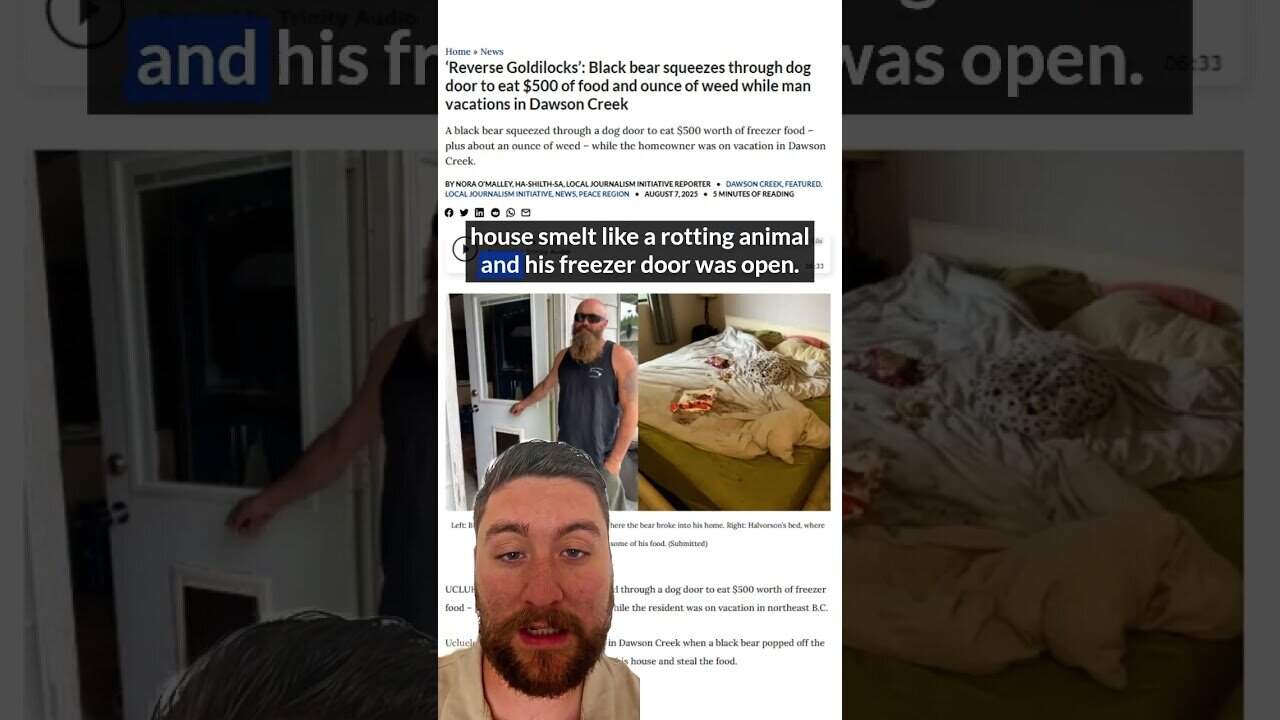 Black bear breaking into house through door, causing a rotten smell and damage.