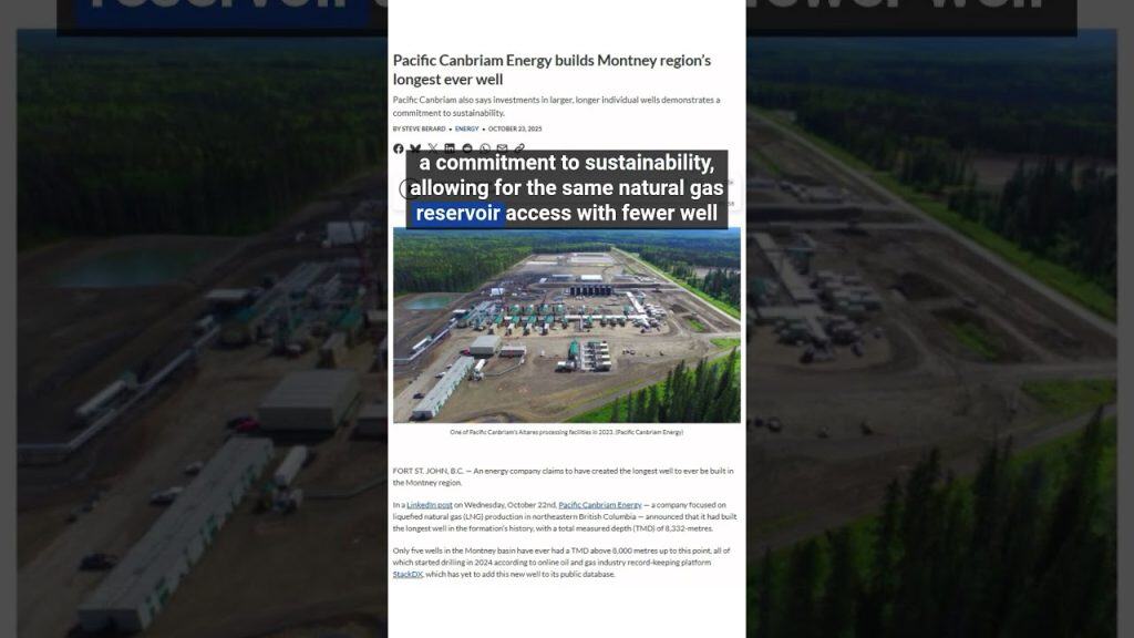 Vocal for Local: Sisters Designated Driving Services