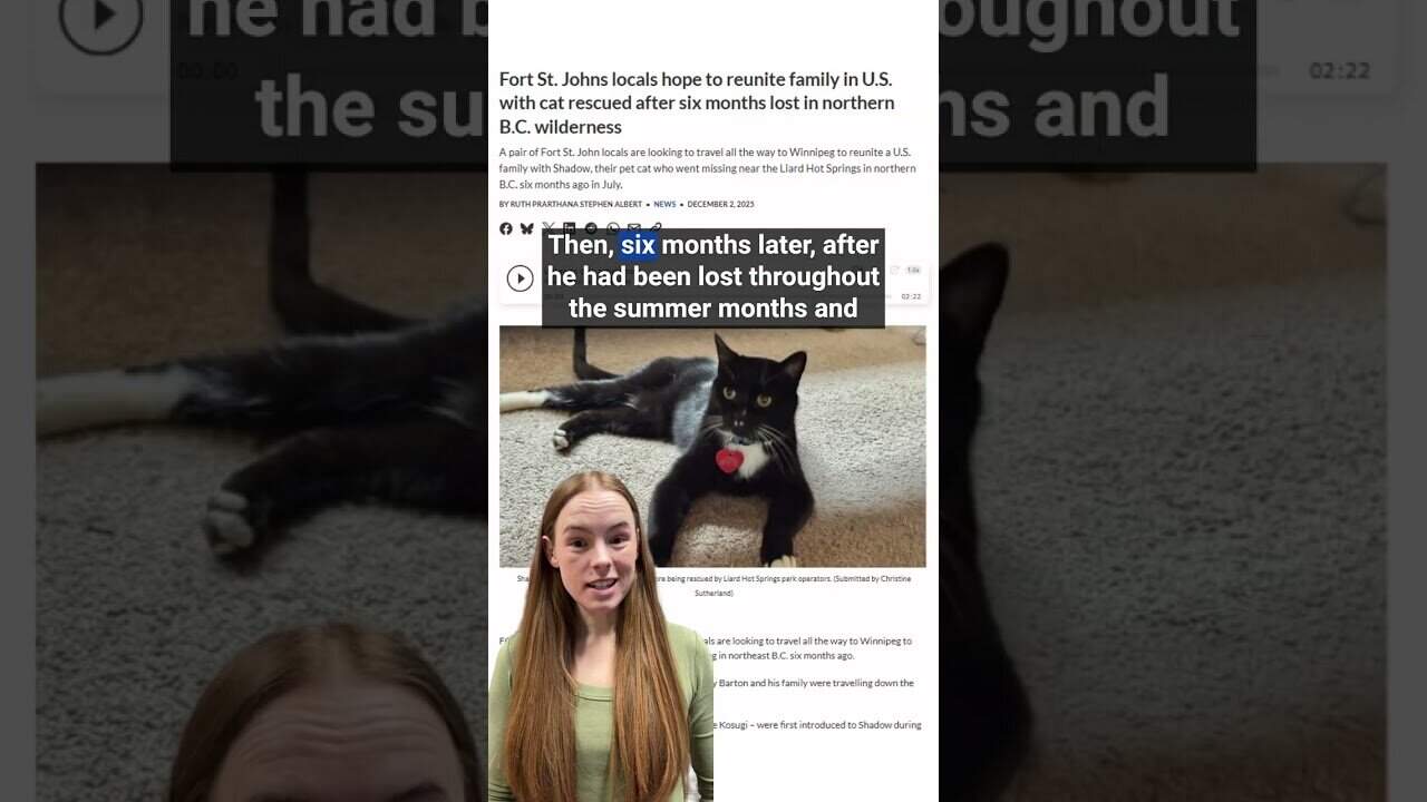 U.S. Family Reunites with Rescue Cat.