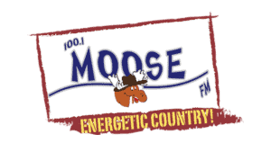 MooseMedia logo featuring a cartoon moose with energetic country theme.