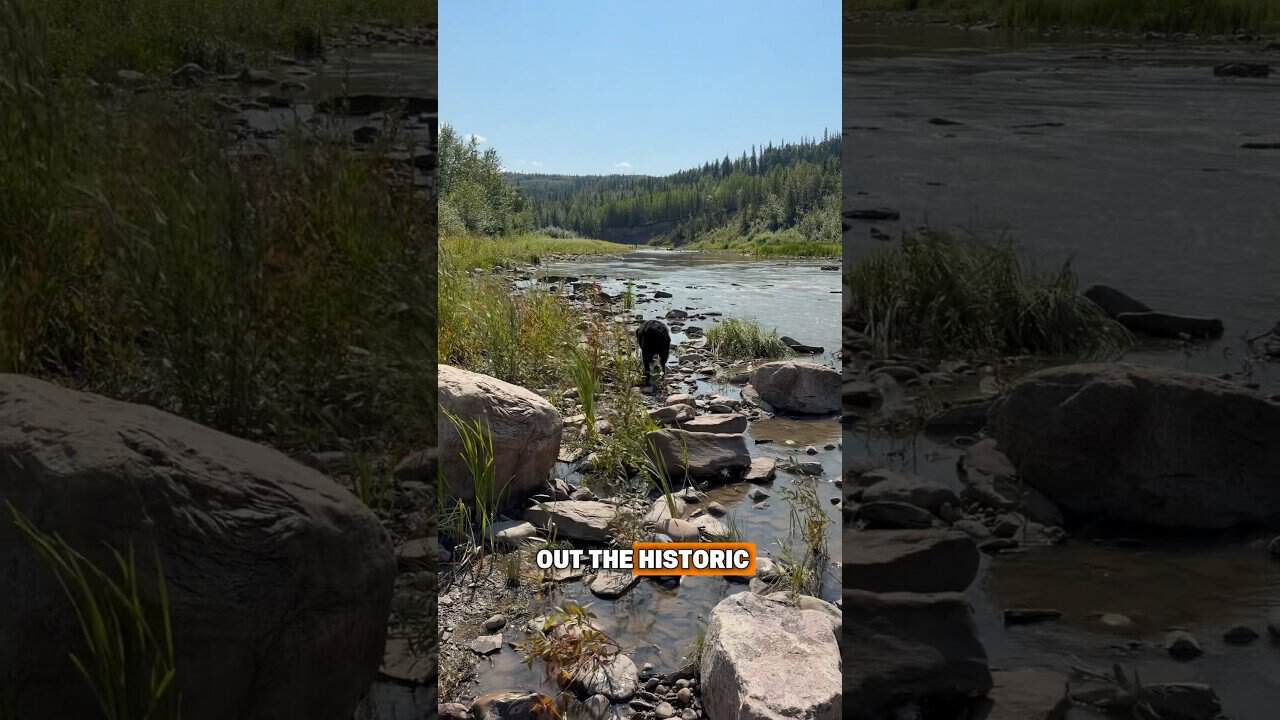 Kiskatinaw Provincal Park is ‘the spot’ of the summer
