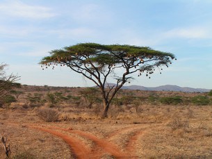 Botswana - fritidsaktiviteter og lidt om krokodiller
