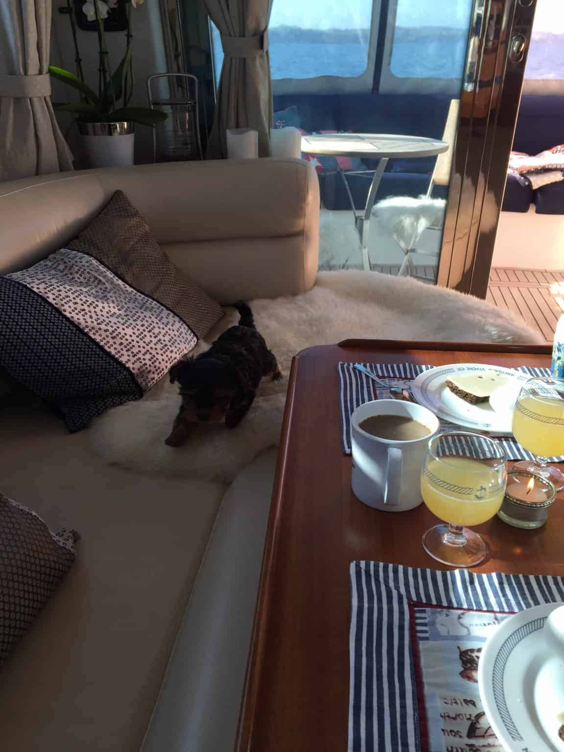 En Skibshunds dagbog - 1.