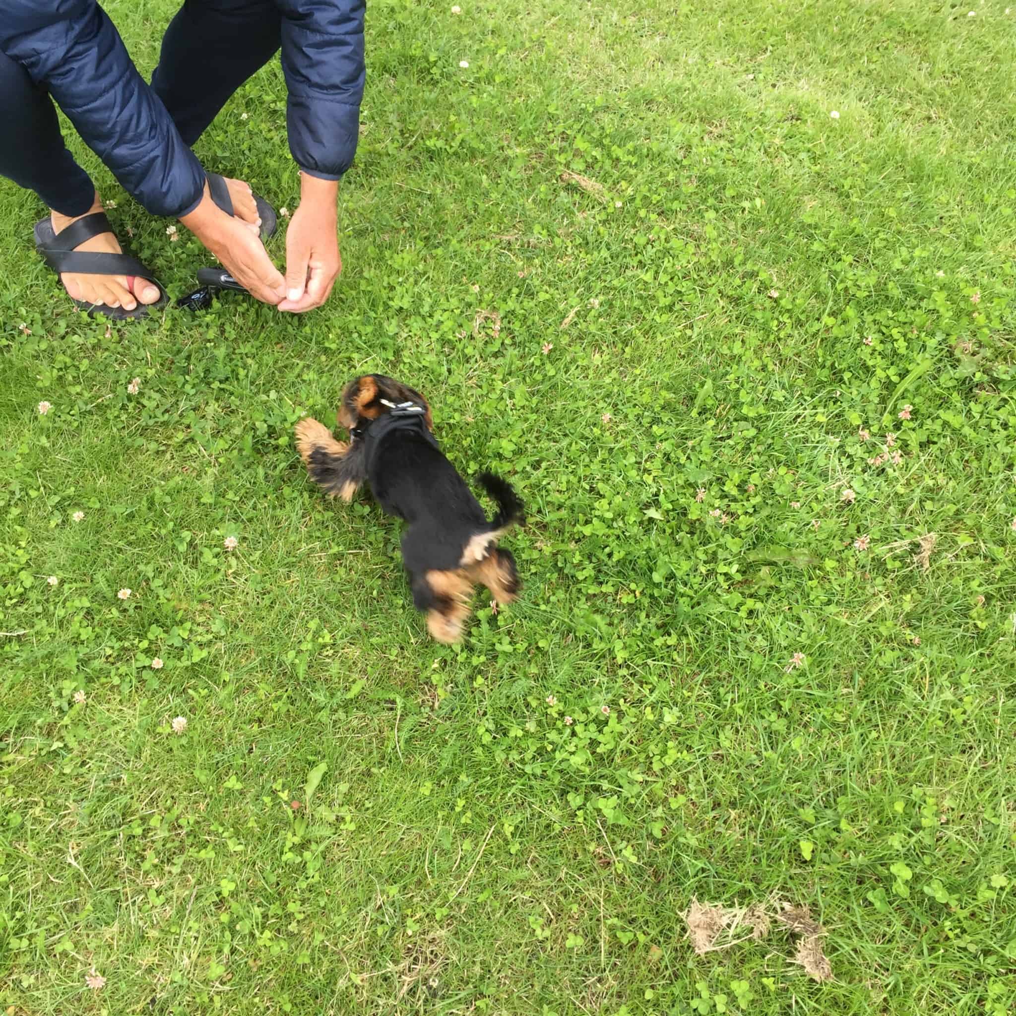 Mens vi venter på SOL og VARME...