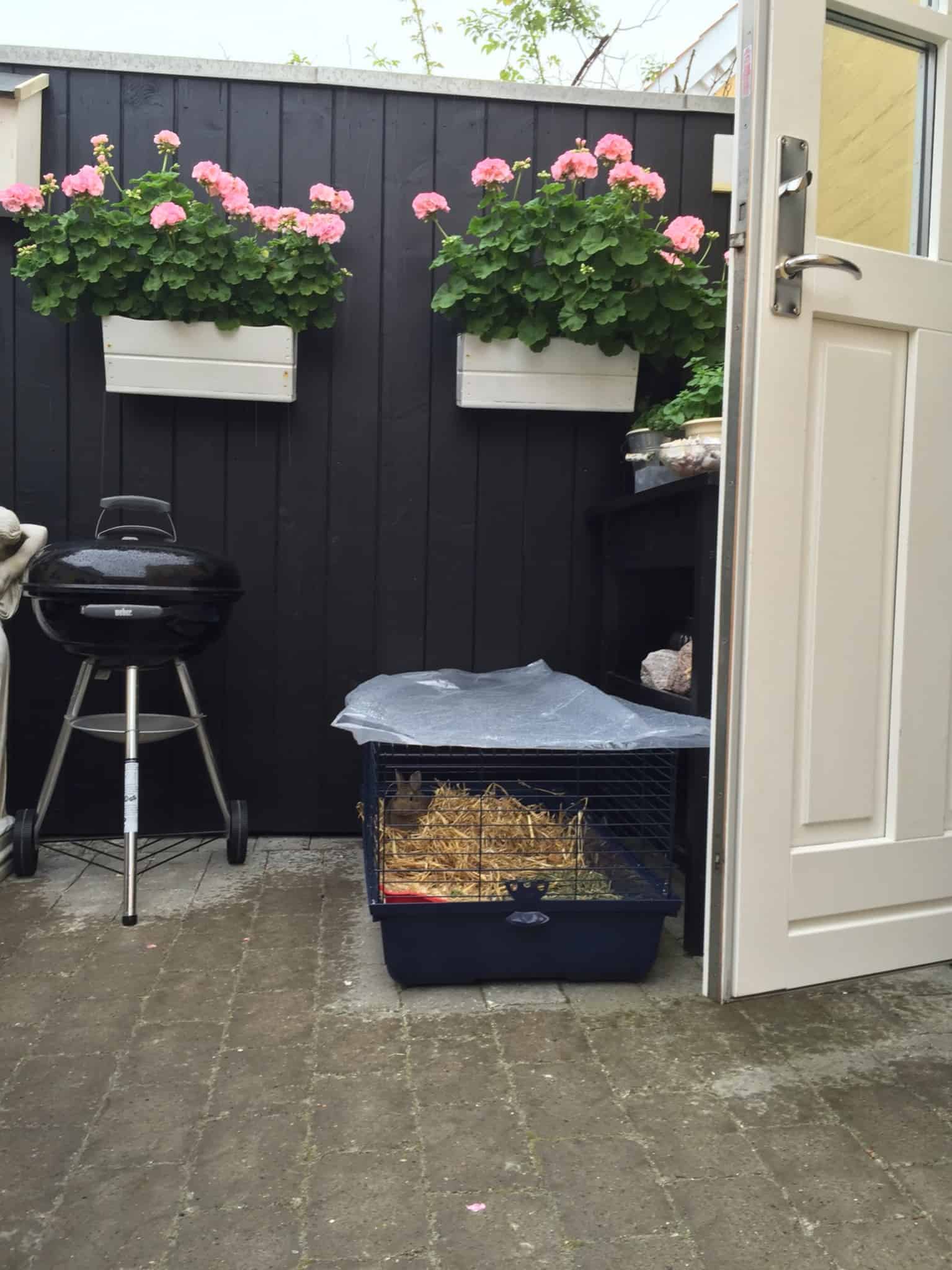 Familietræf på toppen af Danmark