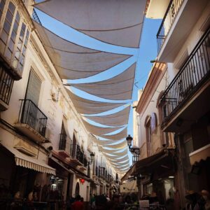 Sandgaarden i efteråret - og endnu en flyvetur!!