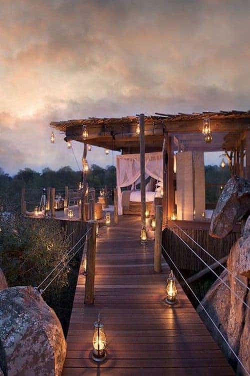 Vi vil gerne på safari - gensyn med Afrika