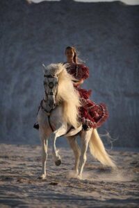 En typisk dag på Bjerget bag Torre del Mar