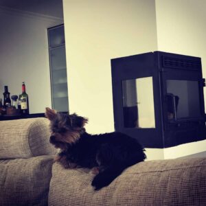 Søndag på sofaen - helt nyt!