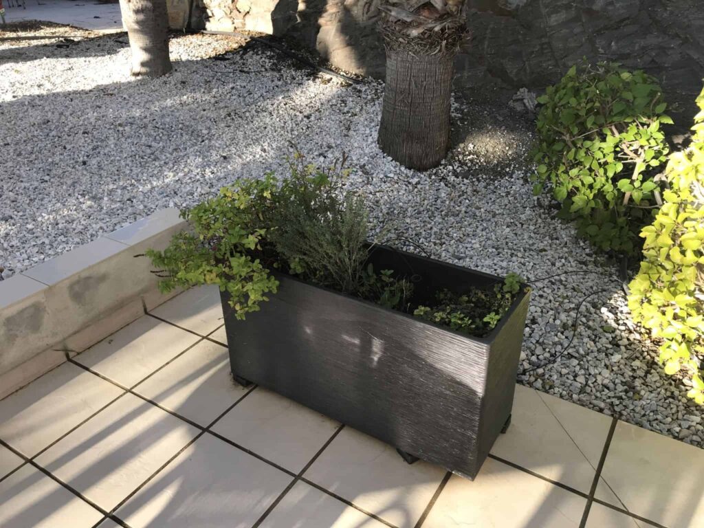 Andalusien i januar!