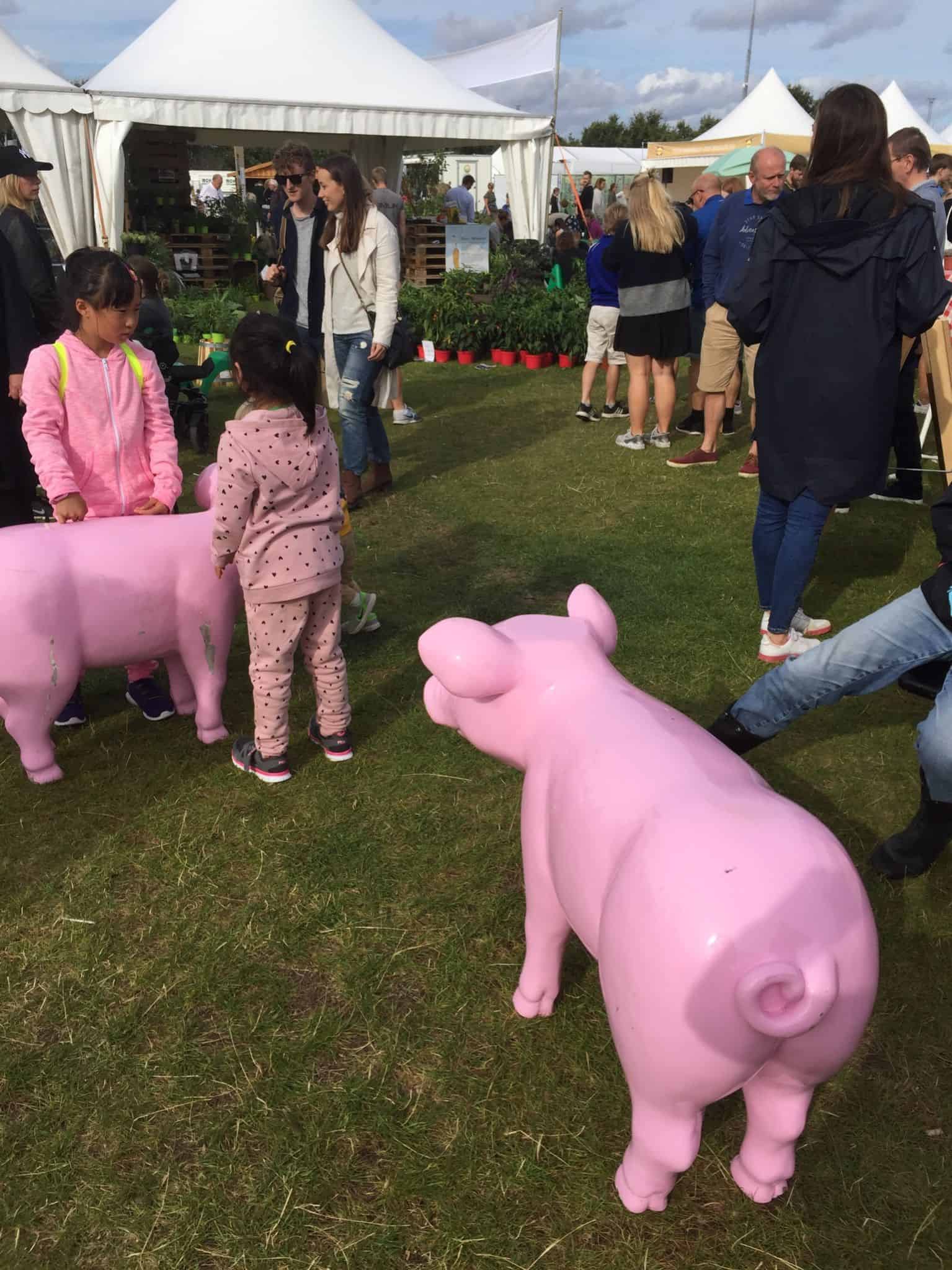 Food festival i Århus 2016