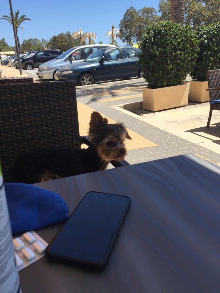 Pit Stop på vej mod Algarrobo