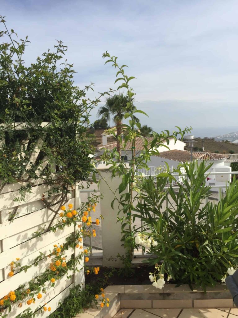 En typisk dag på Bjerget bag Torre del Mar