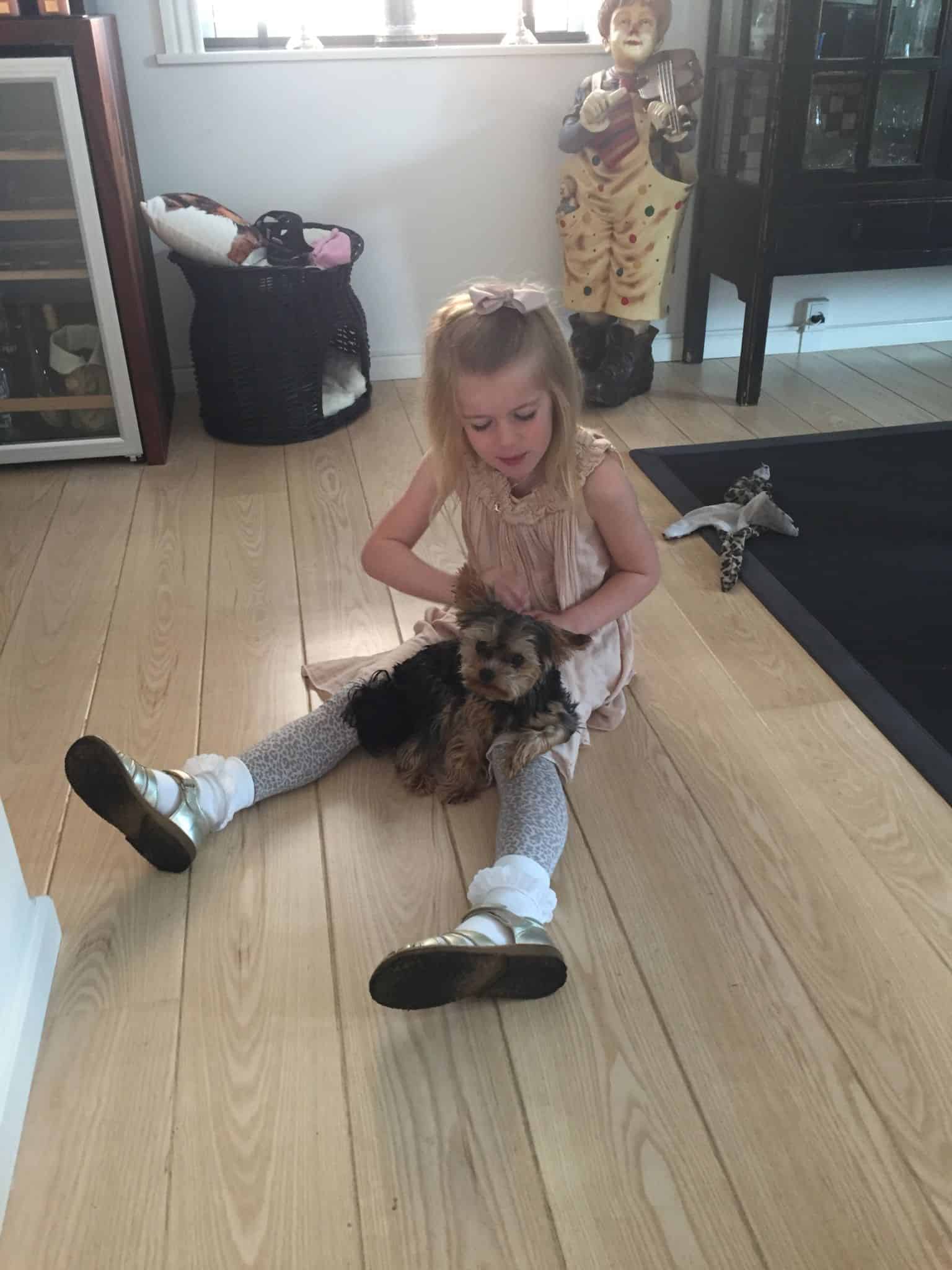 Skibshundens dagbog - 19.