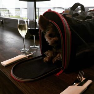 Skibshundens dagbog - 20.