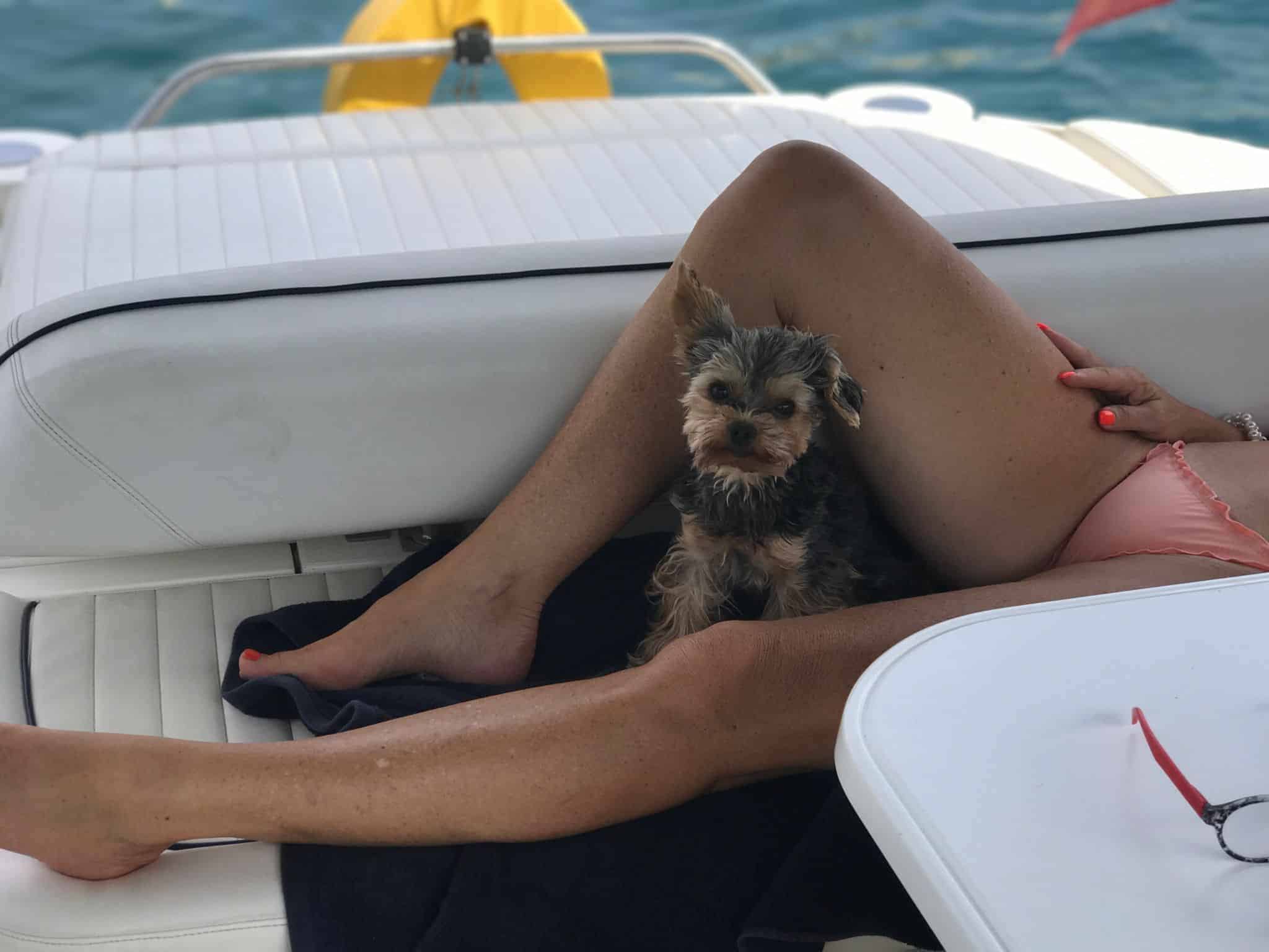 Snart i Danmark igen...